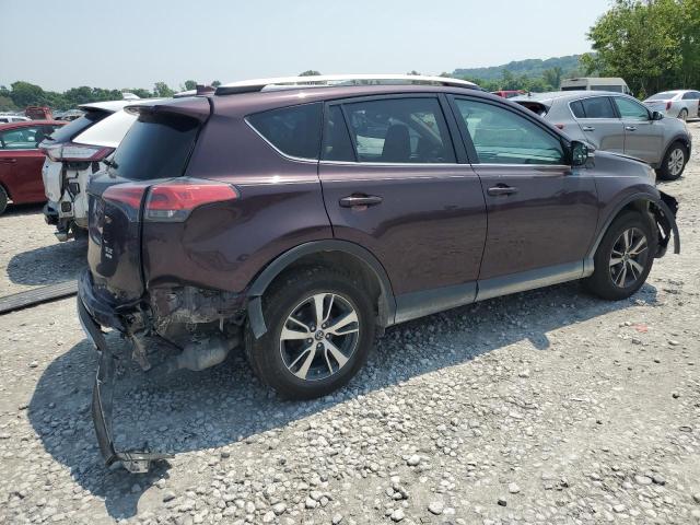  TOYOTA RAV4 2016 Фиолетовый