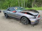 2013 FORD MUSTANG    for sale at Copart ON - COOKSTOWN
