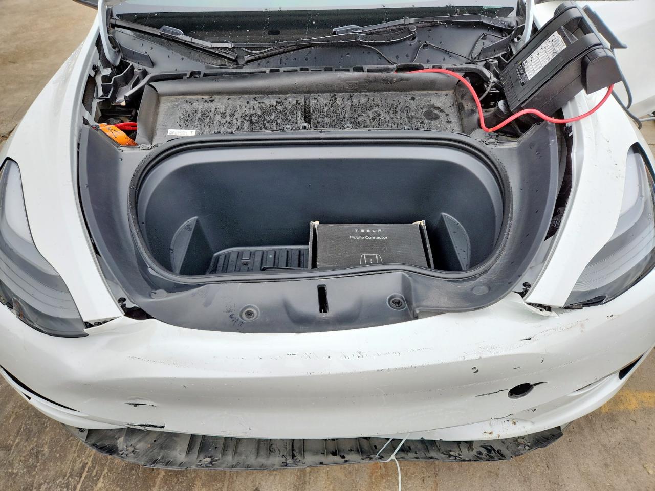 2023 Tesla Model Y VIN: 7SAYGAEE6PF802463 Lot: 60727185