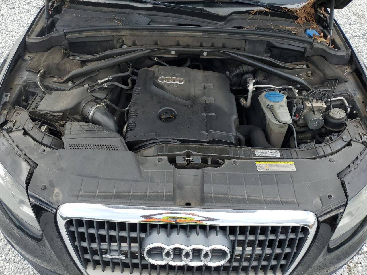 2012 Audi Q5 Premium Plus VIN: WA1LFAFP5CA043134 Lot: 60497655