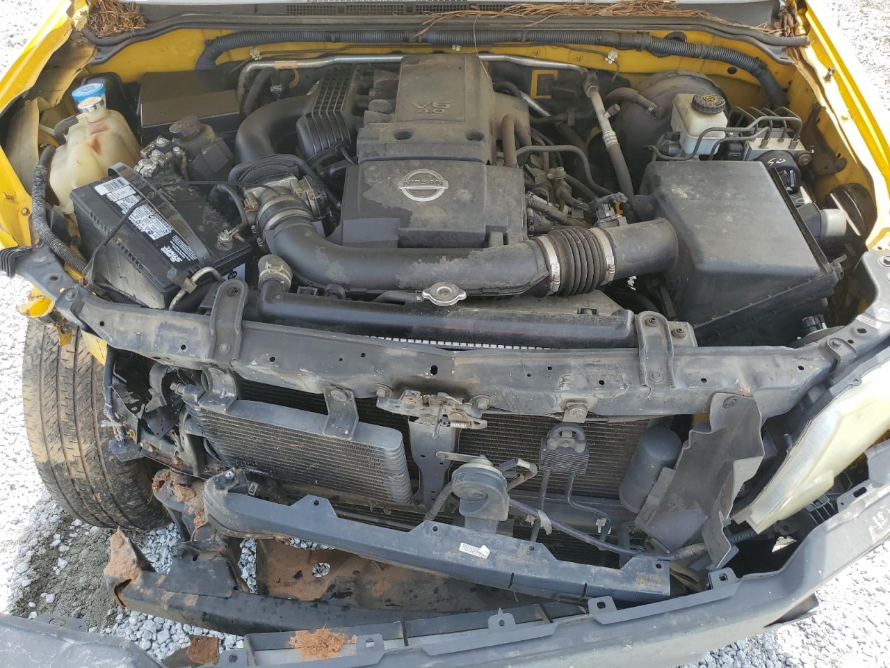 2005 Nissan Xterra Off Road VIN: 5N1AN08U65C605087 Lot: 60259245