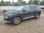 2022 Hyundai Santa Fe Sel იყიდება Elgin-ში, IL - Rear End