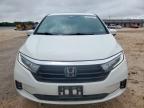 2022 Honda Odyssey Elite на продаже в San Antonio, TX - Minor Dent/Scratches