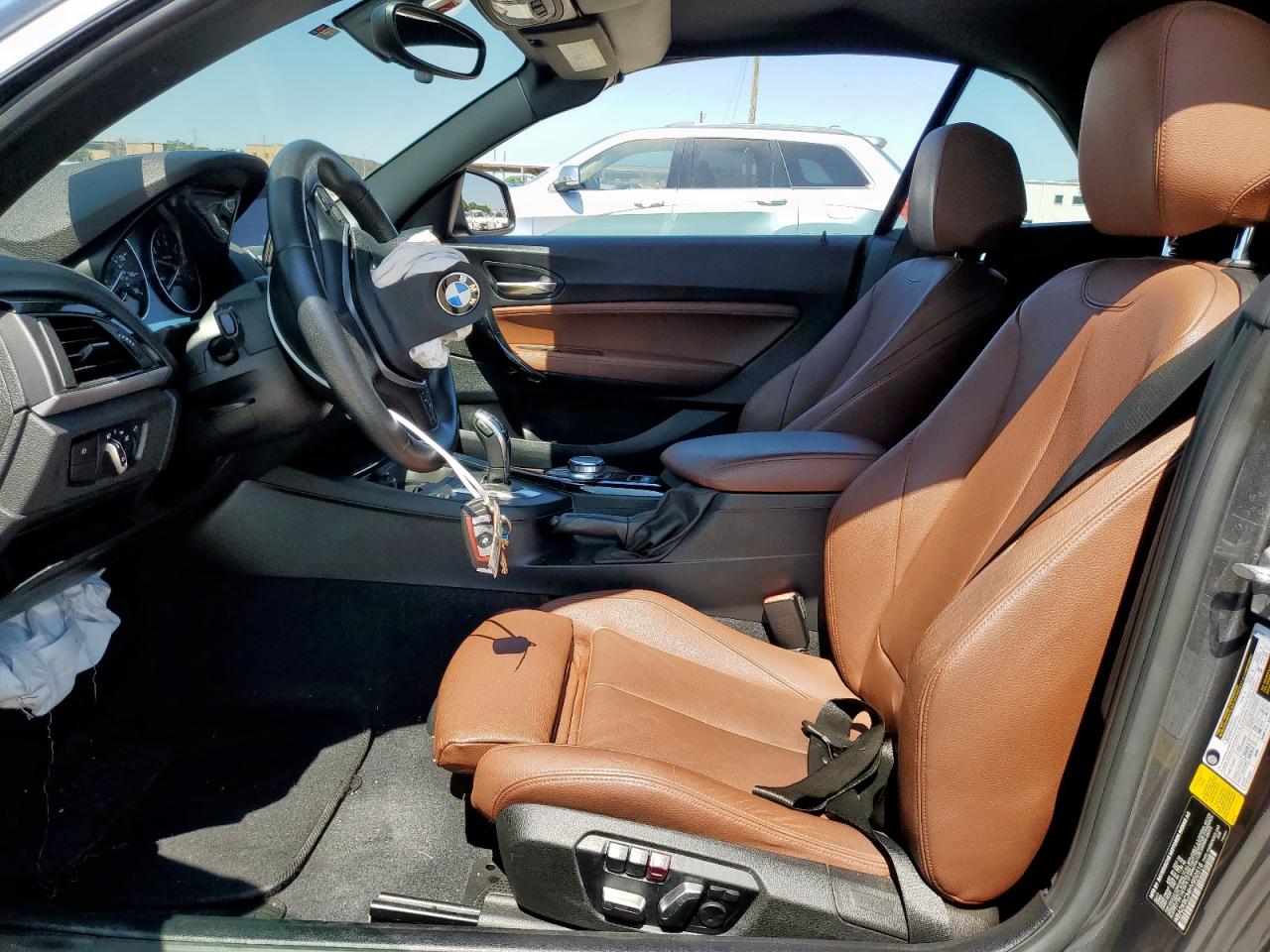 2017 BMW 230I VIN: WBA2K9C34HV950516 Lot: 60607725