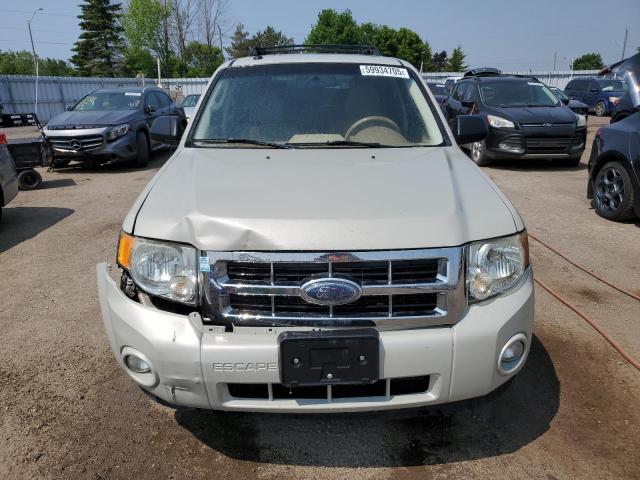 2009 FORD ESCAPE XLT  
