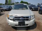 2009 FORD ESCAPE XLT   à vendre chez Copart ON - TORONTO