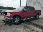 Apopka, FL에서 판매 중인 2013 Ford F150 Supercrew   - Front End