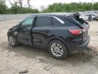 2021 Ford Escape Se for Sale in Franklin, WI - Rollover