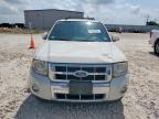 2012 Ford Escape Limited for Sale in Taylor, TX - Front End