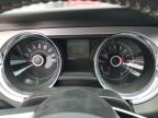 2014 Ford Mustang    for Sale in Prairie Grove, AR - Hail
