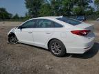 2016 Hyundai Sonata Se იყიდება Cicero-ში, IN - Front End