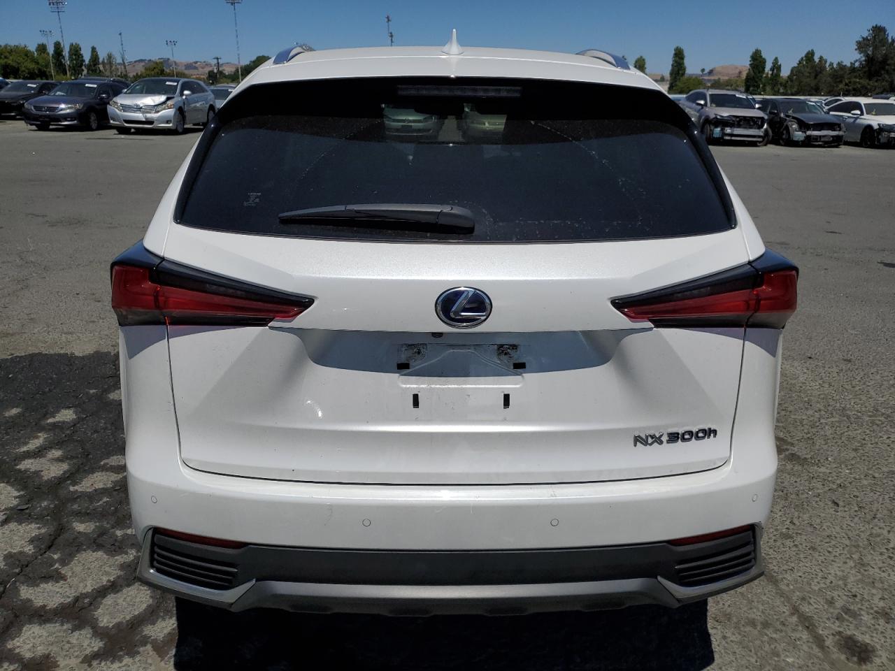 2021 Lexus Nx 300H Base VIN: JTJGJRDZ8M5012895 Lot: 62593635