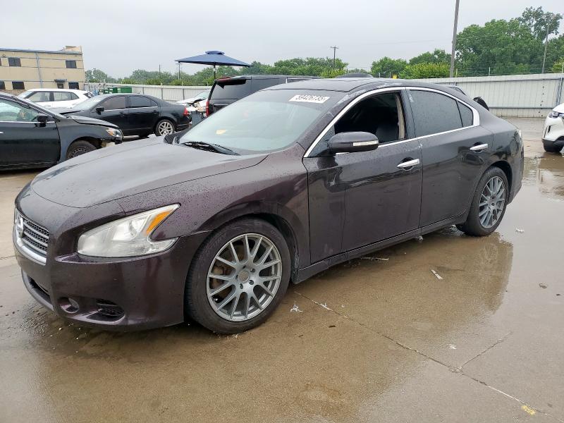  NISSAN MAXIMA 2014 Brown