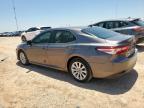 2019 Toyota Camry L   en Venta en Andrews, TX - Hail