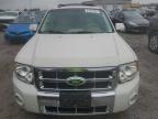 2012 Ford Escape Limited zu verkaufen in Cahokia Heights, IL - Minor Dent/Scratches