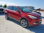 2016 Ford Escape Titanium للبيع في Haslet، TX - Hail