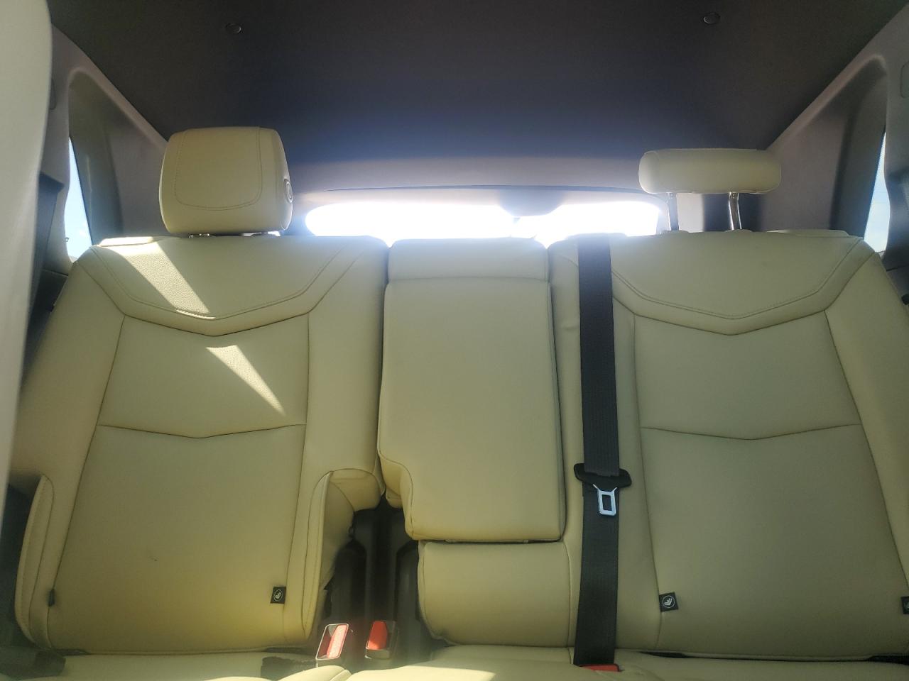 2019 Cadillac Xt5 VIN: 1GYKNARS3KZ125362 Lot: 61443345