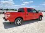 New Braunfels, TX에서 판매 중인 2014 Ford F150 Supercrew   - Front End