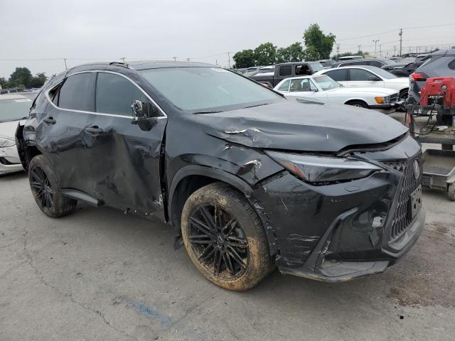  LEXUS NX 350H BA 2024 Czarny