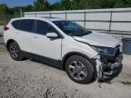 2019 Honda Cr-V Exl   за продажба в Prairie Grove, AR - Hail