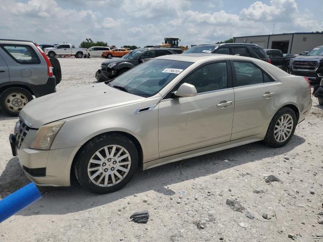  CADILLAC CTS 2013 Cream