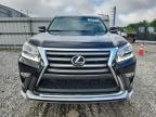 2017 Lexus Gx 460 продається в Prairie Grove, AR - Hail