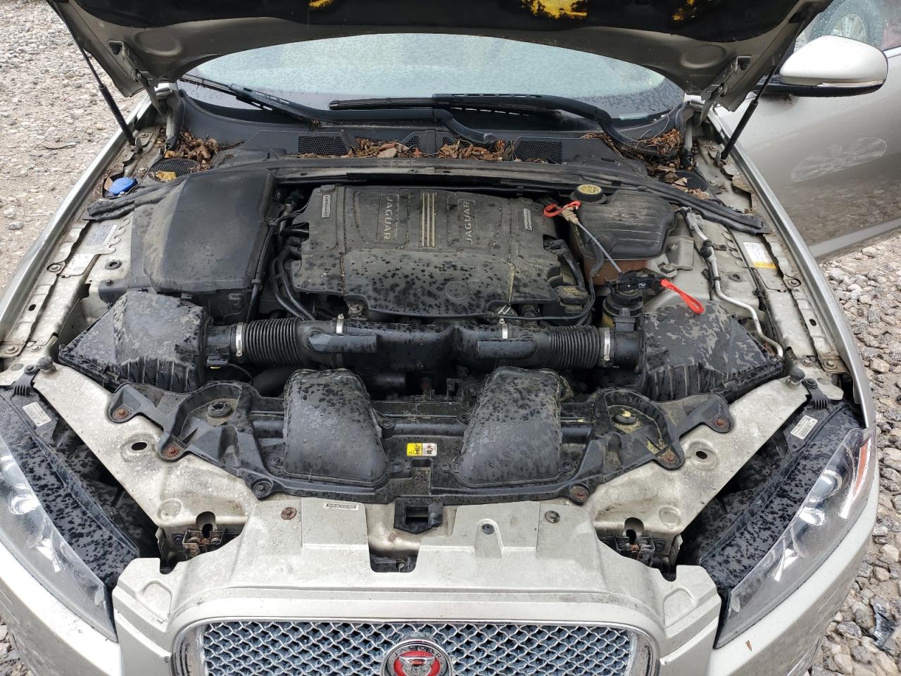 2014 Jaguar Xf VIN: SAJWJ0EF4E8U19659 Lot: 59556665