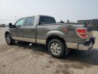 2010 Ford F150 Supercrew for Sale in Woodhaven, MI - Minor Dent/Scratches