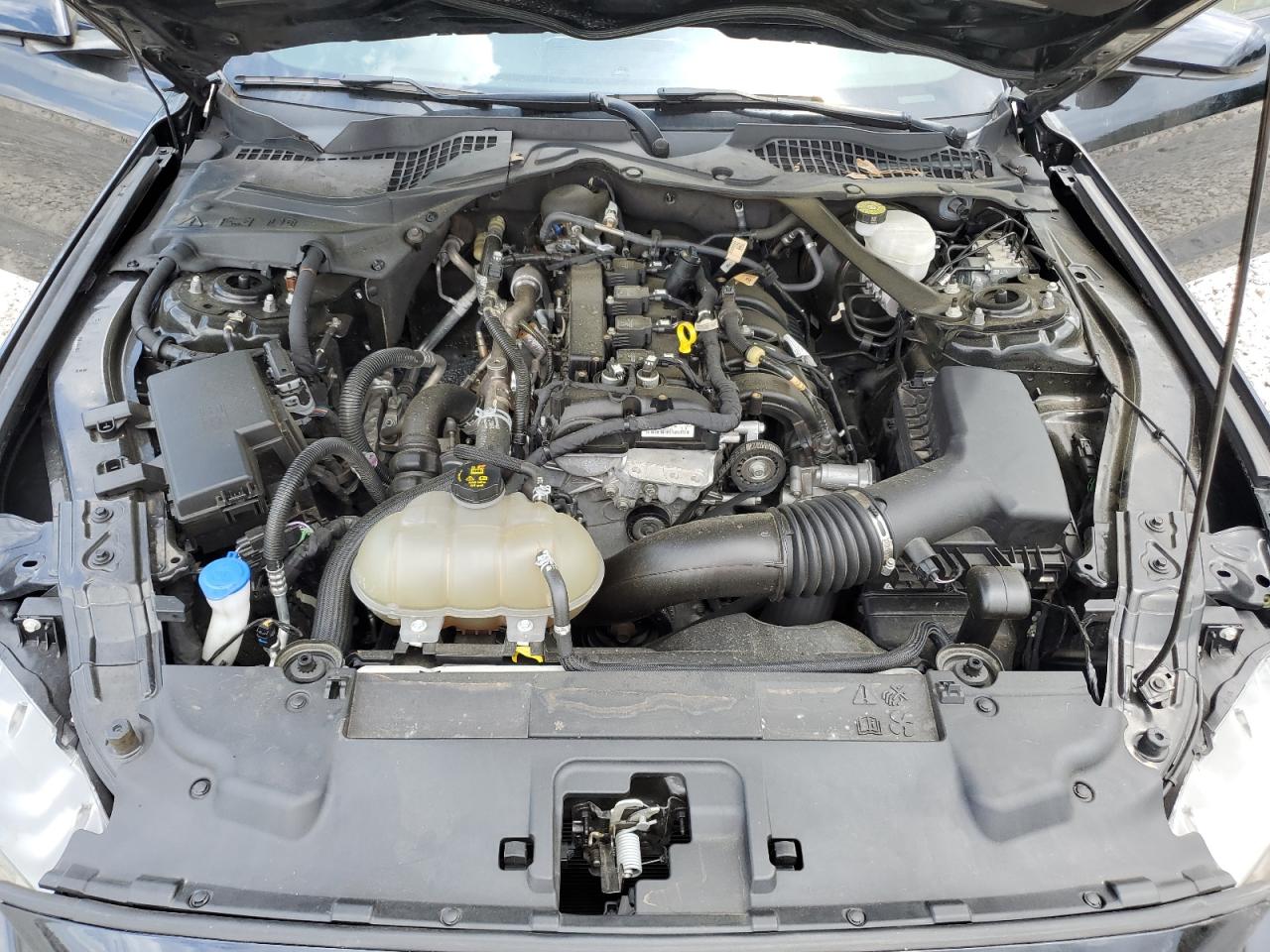 2022 Ford Mustang VIN: 1FATP8UH3N5125341 Lot: 60516935
