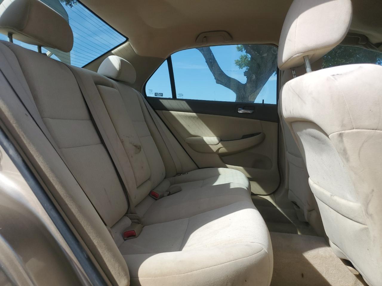 2005 Honda Accord Lx VIN: 1HGCM564X5A053297 Lot: 62768845