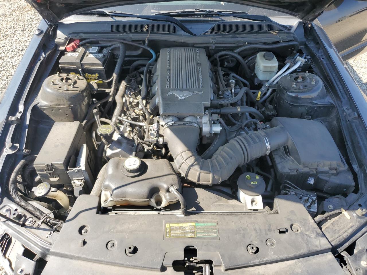 FORD MUSTANG 2008 VIN 1ZVHT82H885112813 фото 11
