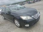 2010 Lexus Es 350 for Sale in Cahokia Heights, IL - Hail