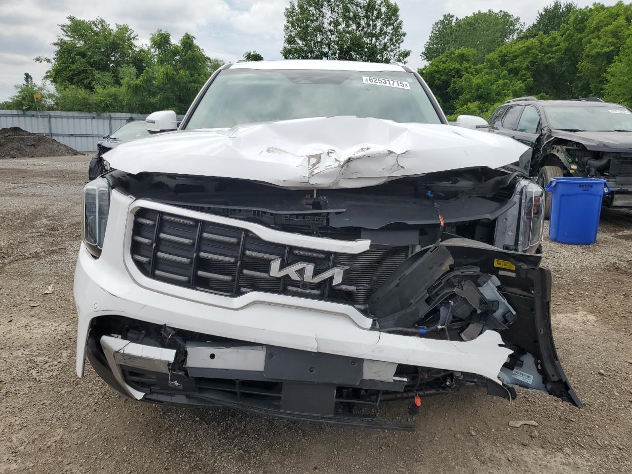 KIA TELLURIDE 2023 VIN 5XYP5DGC4PG360819 photo 5