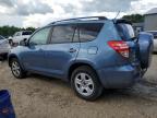 2010 Toyota Rav4 Limited na sprzedaż w Midway, FL - Minor Dent/Scratches