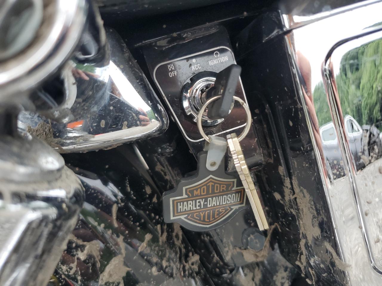 2003 Harley-Davidson Fxdl VIN: 1HD1GDV133K302480 Lot: 62585435