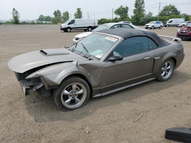 2001 FORD MUSTANG GT   à vendre chez Copart QC - MONTREAL