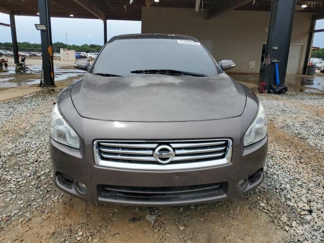 Sedans NISSAN MAXIMA 2012 Brązowy