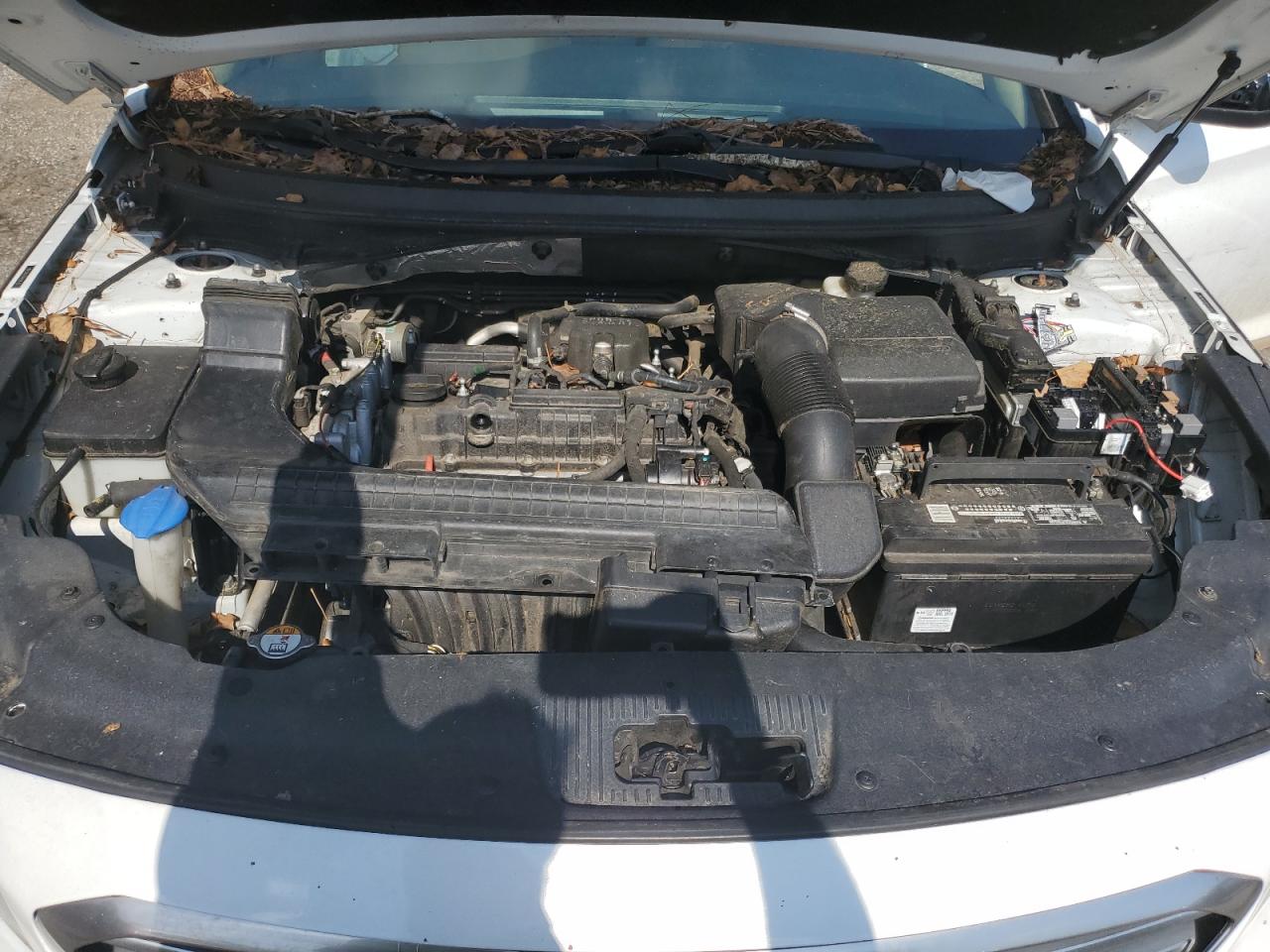 2015 Hyundai Sonata Se VIN: 5NPE24AF8FH206785 Lot: 62121525