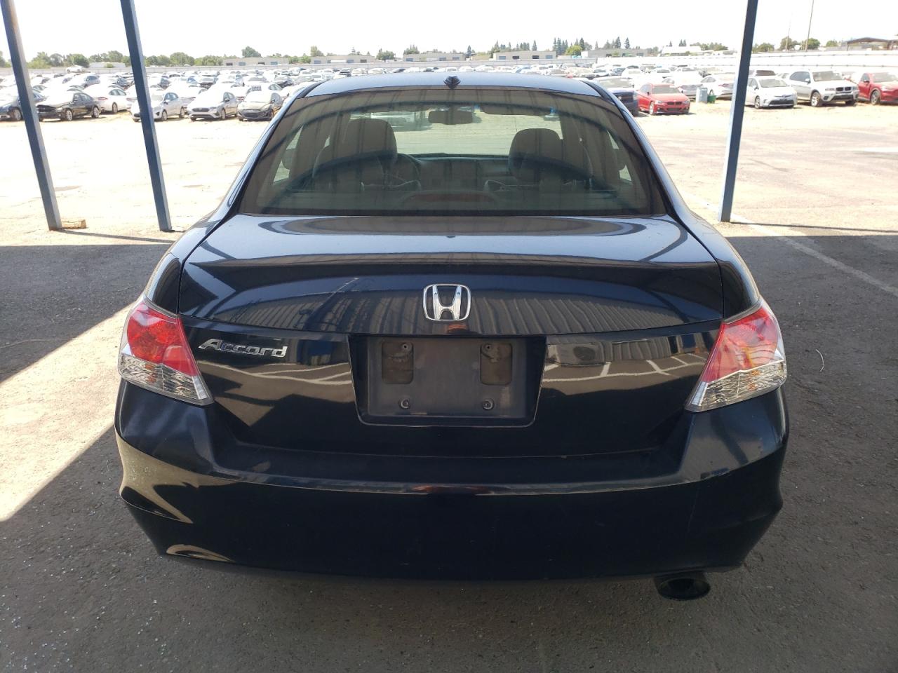 2010 Honda Accord Exl VIN: 1HGCP2F8XAA148784 Lot: 63034645