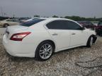 2010 Nissan Maxima S na sprzedaż w Wayland, MI - Front End