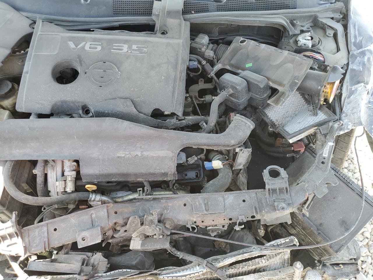 2007 Nissan Maxima Se VIN: 1N4BA41E67C846879 Lot: 58860435
