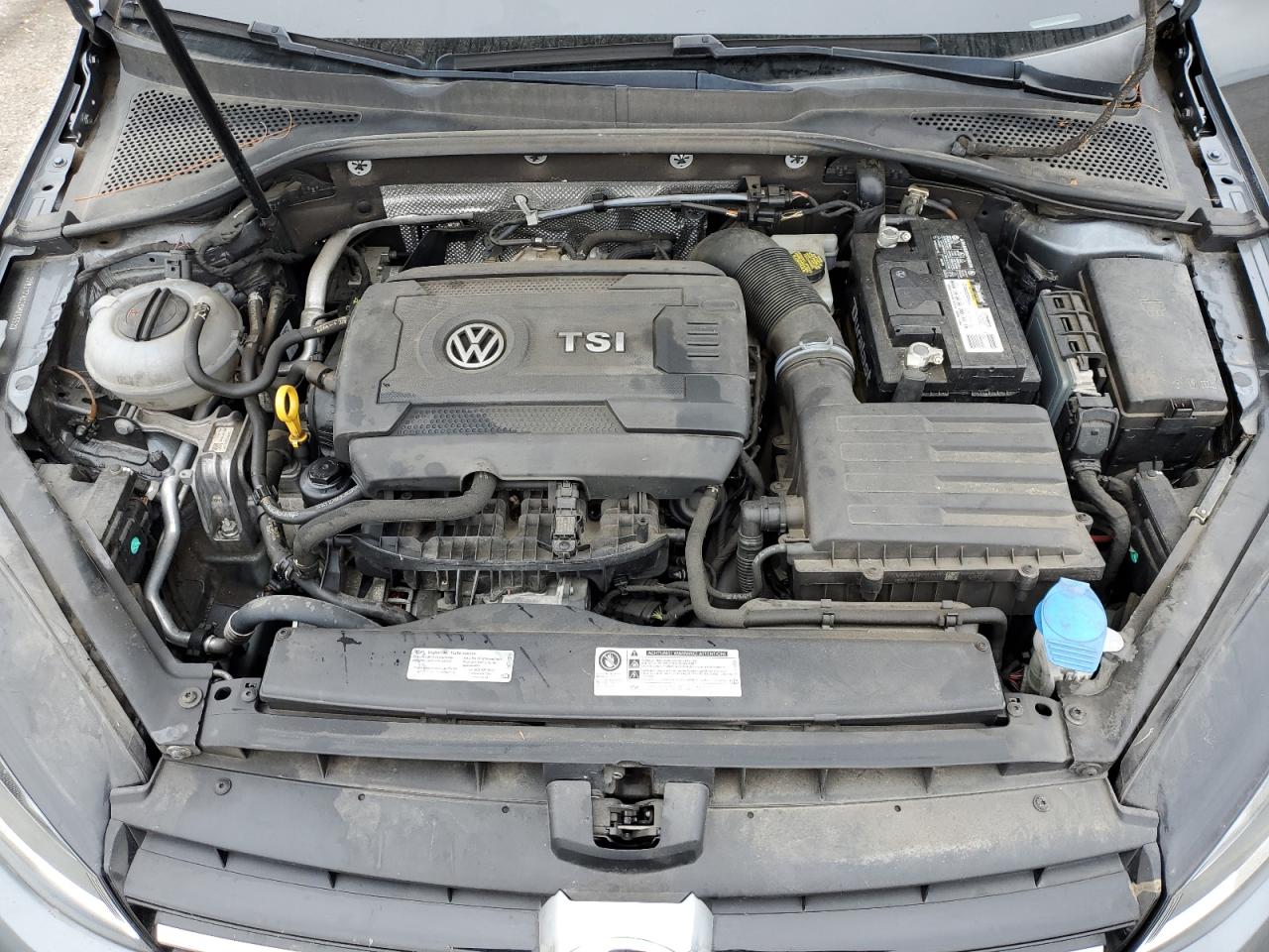 2016 Volkswagen Golf S/Se VIN: 3VW217AU2GM055523 Lot: 61998105