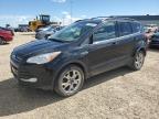 2013 FORD ESCAPE SEL   à vendre chez Copart AB - EDMONTON