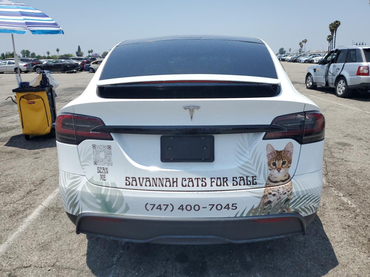 2022 Tesla Model X VIN: 7SAXCBE60NF344955 Lot: 60165195