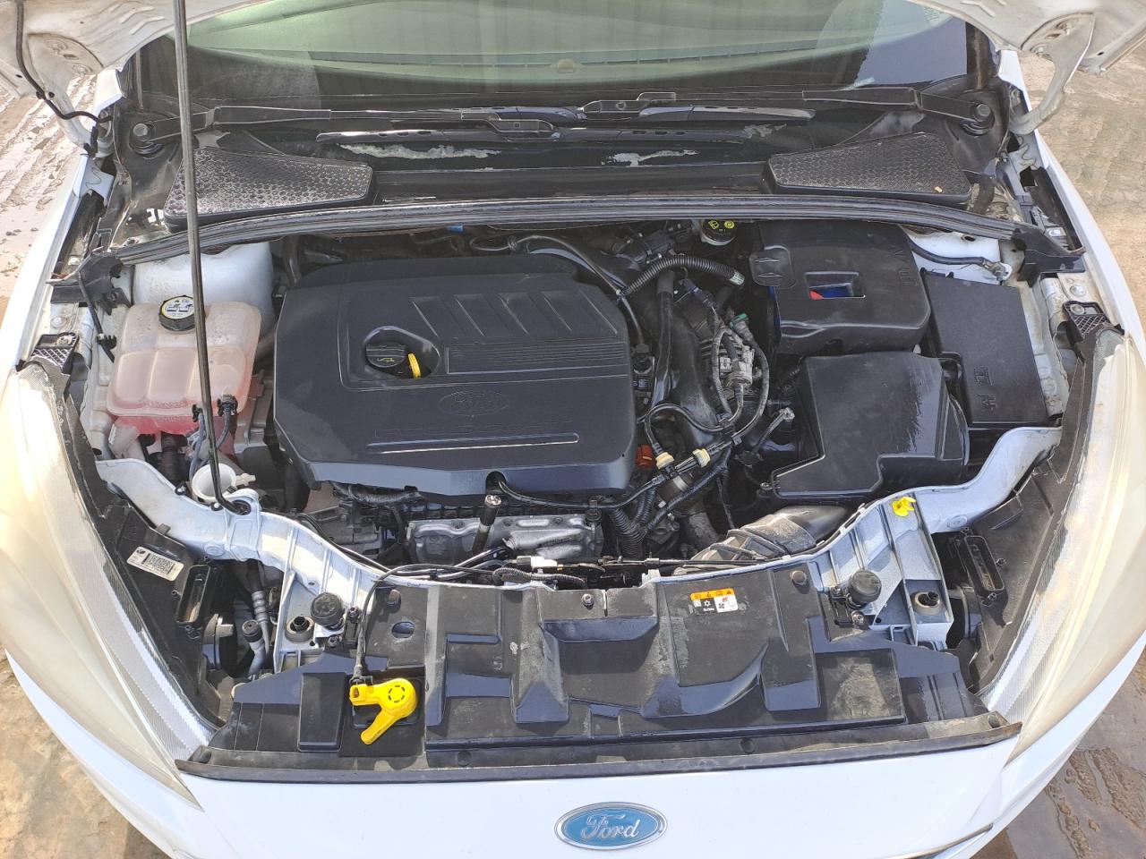 WF0BC2MB8GLD45647 - 2016 Ford Focus - #59431055