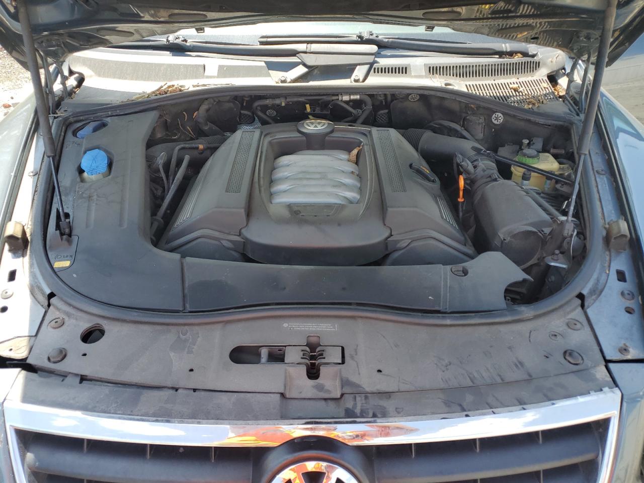 2004 Volkswagen Touareg 4.2 VIN: WVGCM67L94D006541 Lot: 62552605