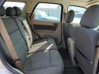 2009 Ford Escape Xlt de vânzare în Louisville, KY - Hail