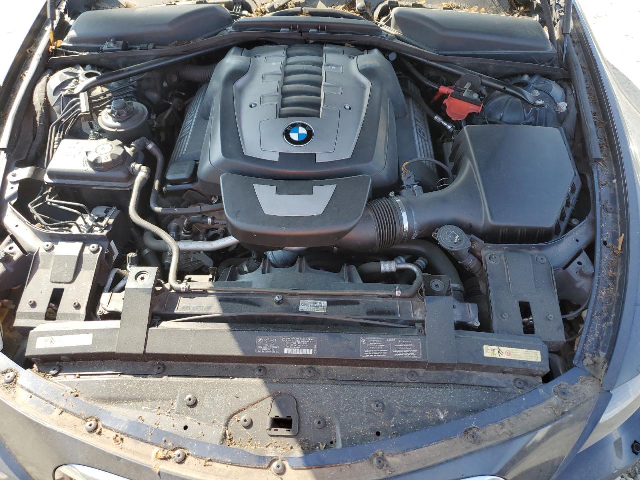 2007 BMW 650 I VIN: WBAEK13537CN83182 Lot: 62213875