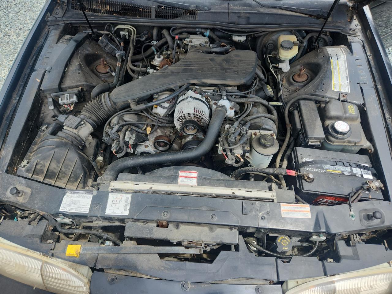 1995 Ford Thunderbird Lx VIN: 1FALP62W4SH100349 Lot: 60366425