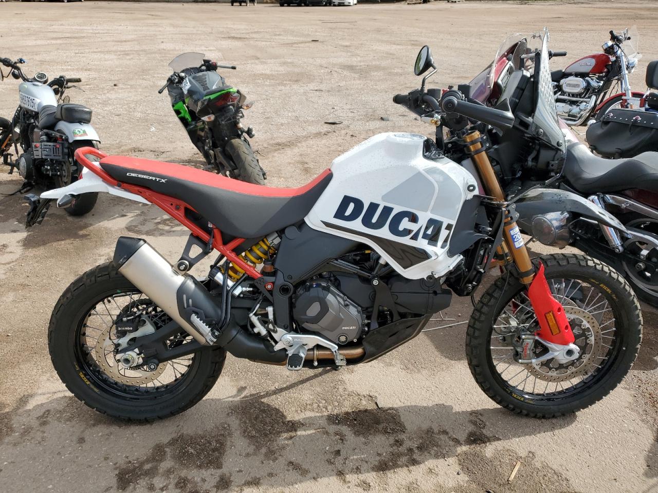 2024 Ducati Desert X للبيع في Colorado Springs، CO - Side